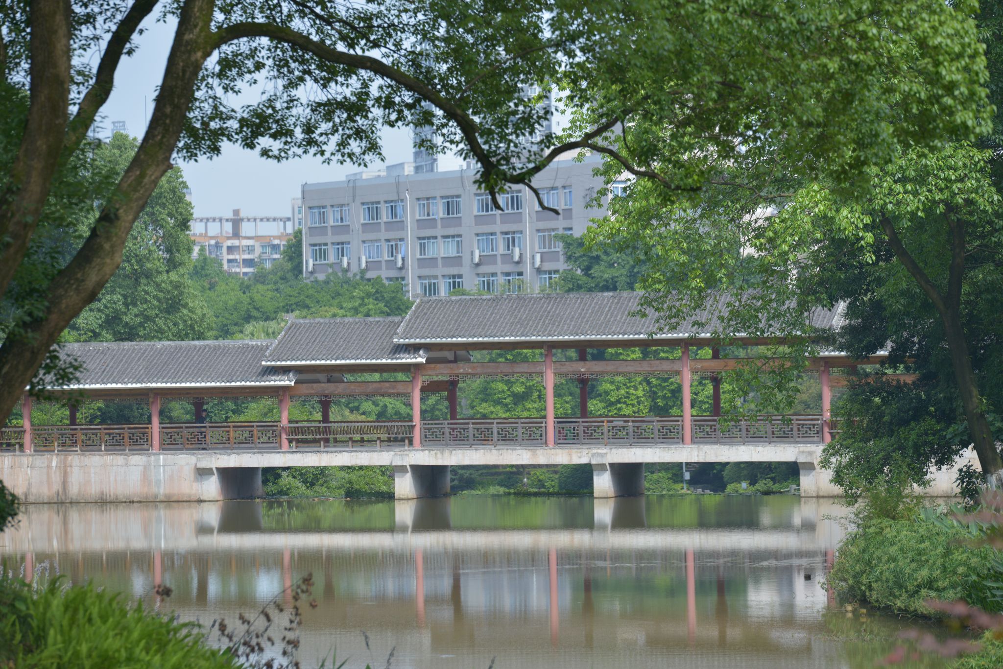 安静的校园